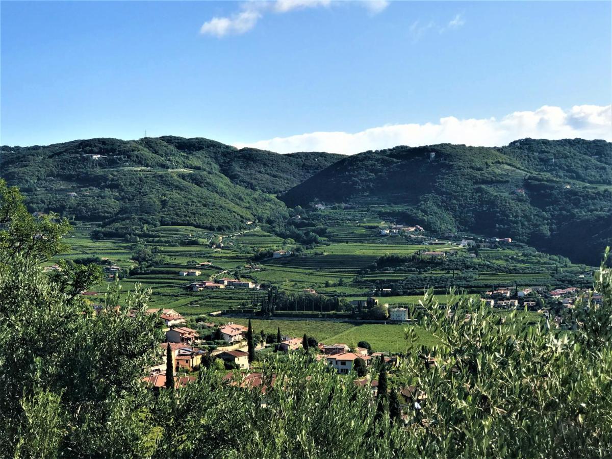 Ferienwohnung Valpolicella Hills Negrar Exterior foto