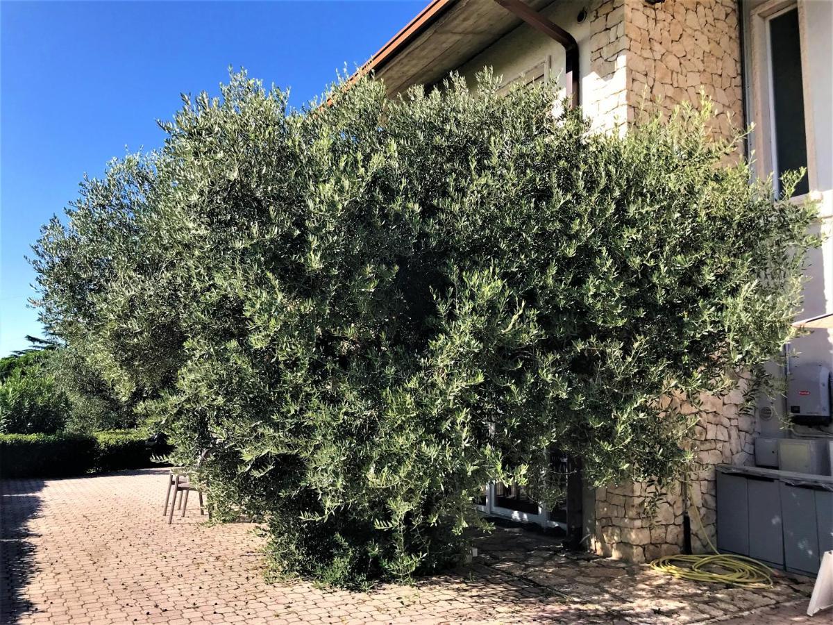 Ferienwohnung Valpolicella Hills Negrar Exterior foto