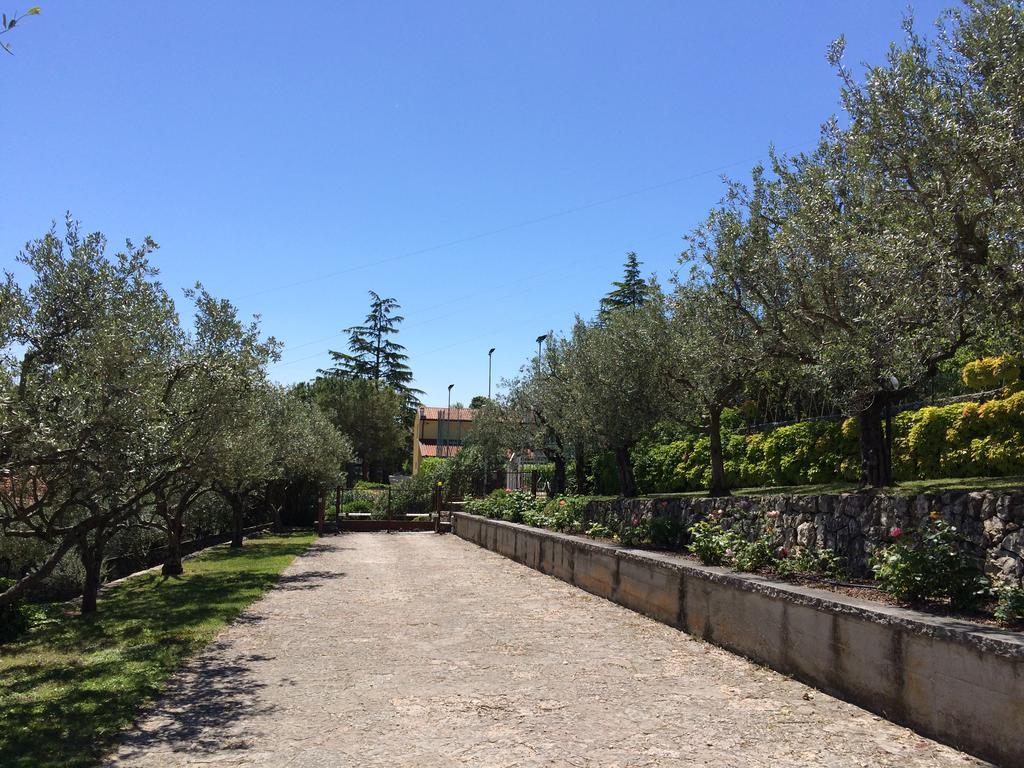 Ferienwohnung Valpolicella Hills Negrar Exterior foto